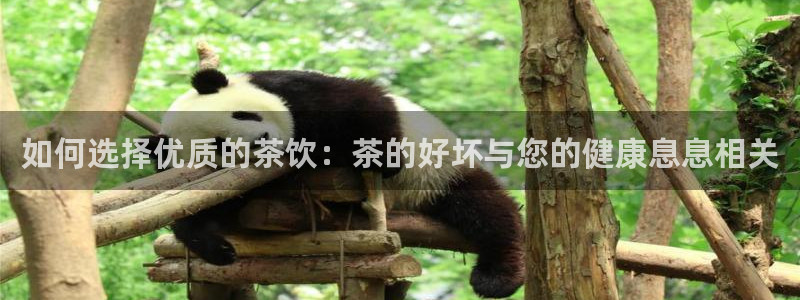 彩名堂app计划官方网站