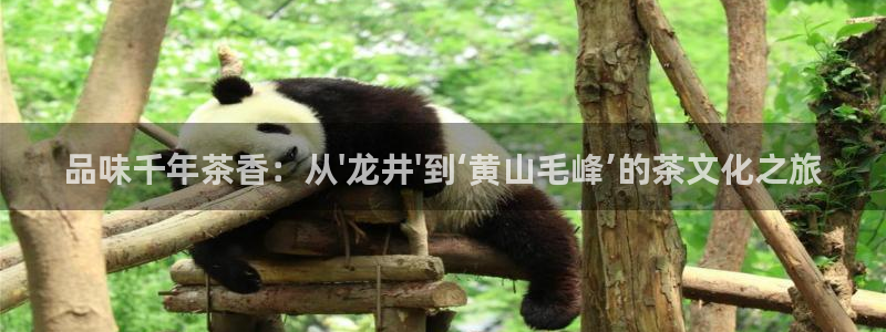 彩名堂是不是坑人的