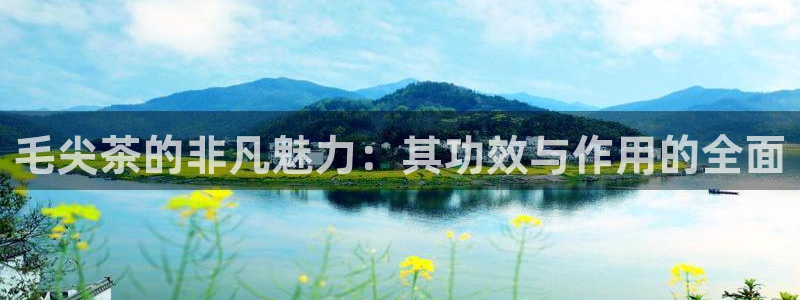 彩名堂好用还是千里马好用