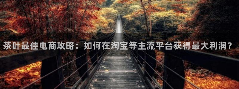 彩名堂计划怎么跟,为什么我一跟就挂